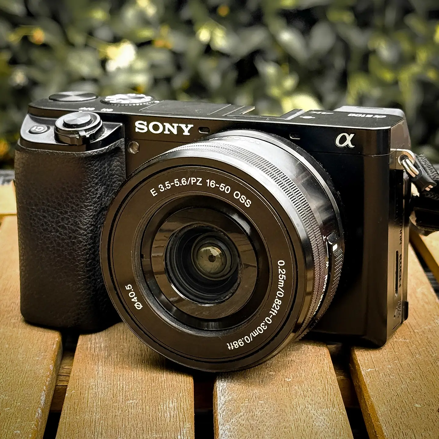Sony A6100 camera