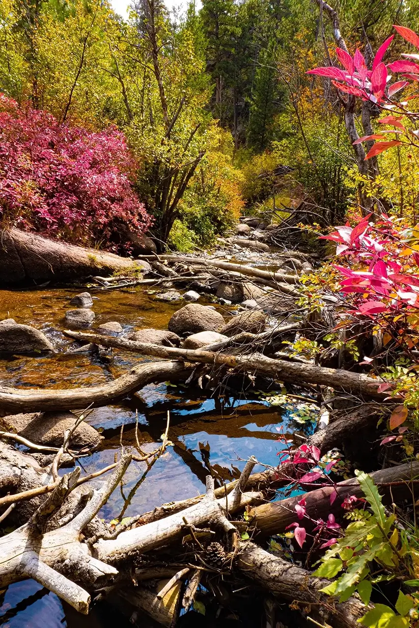 Curt Gowdy State Park fall colors