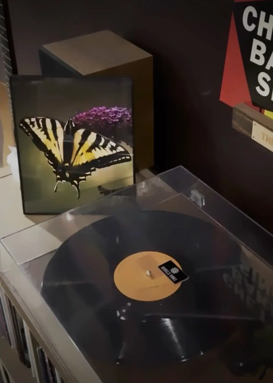 album covers