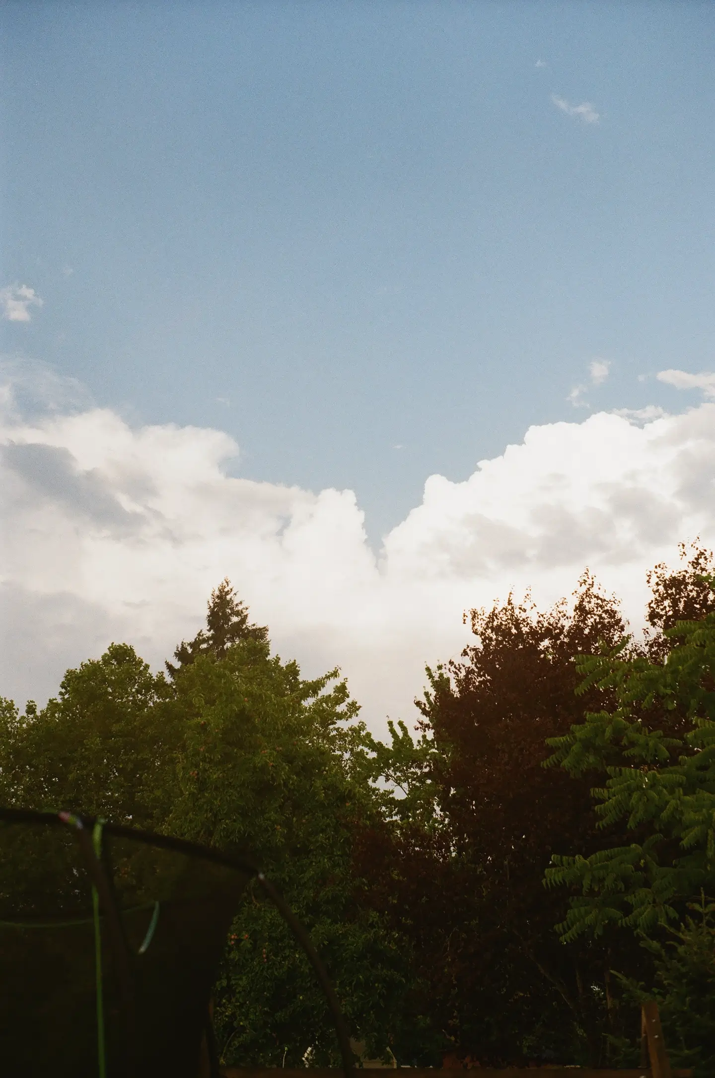 trees, clouds, and sky from our backyard