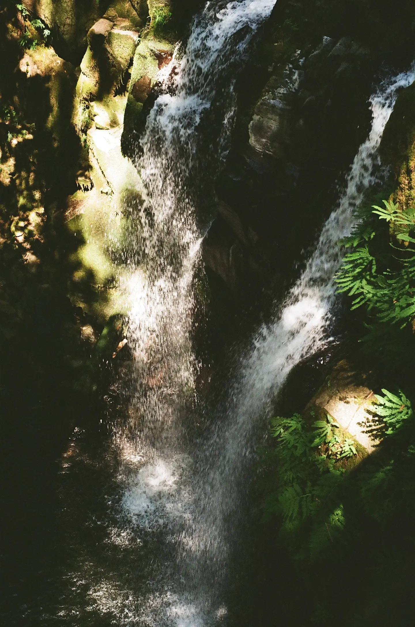 Majestic Falls in Lebanon, Oregon front view
