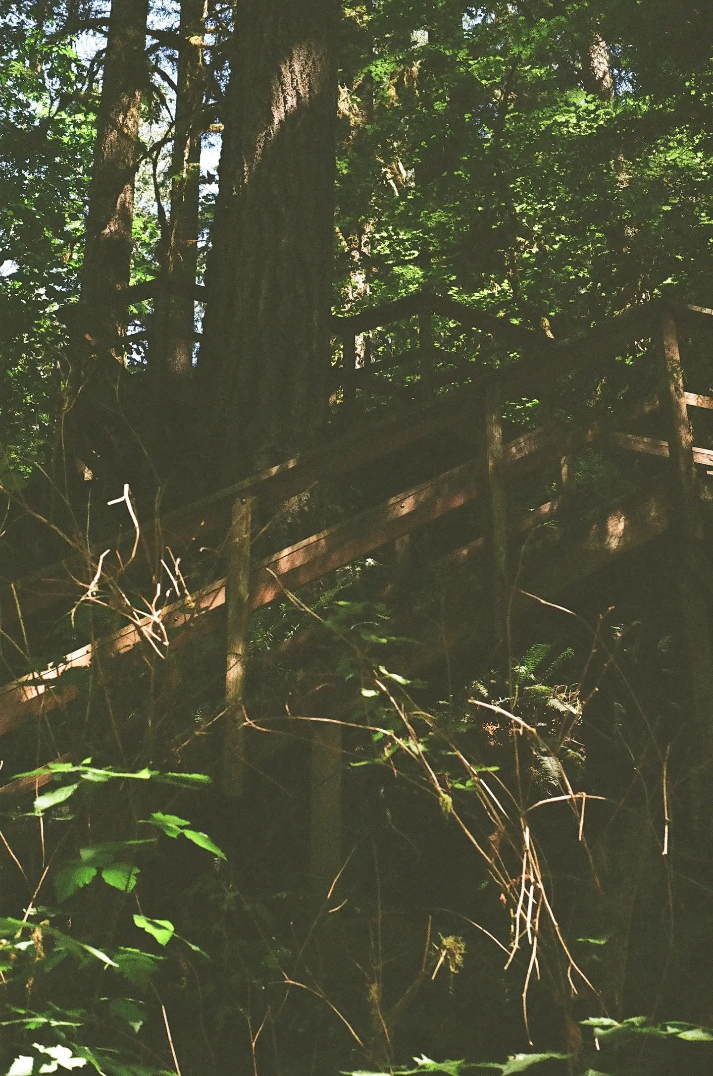 stairway down to bridge