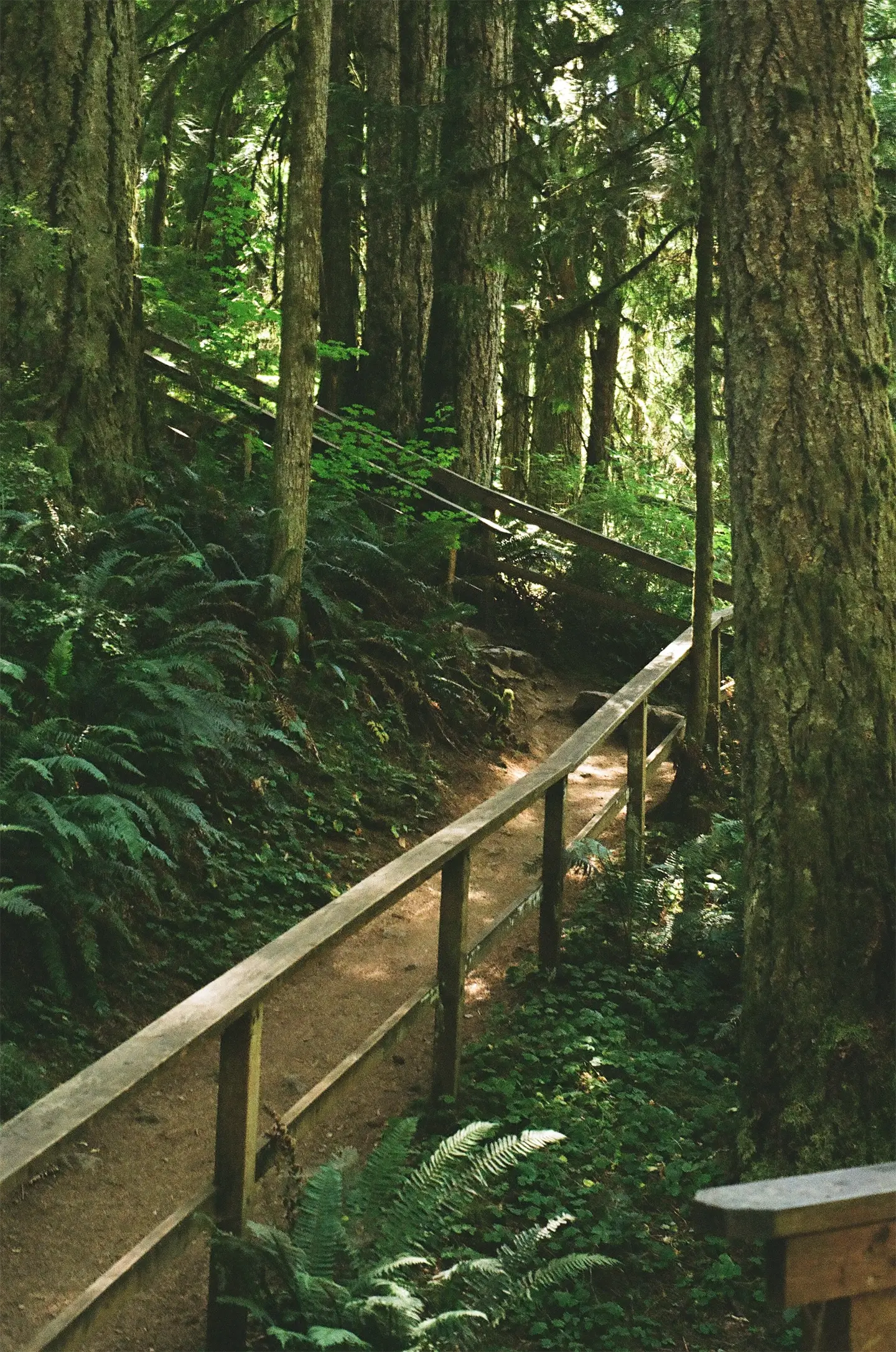 walkway down to Majestic Falls