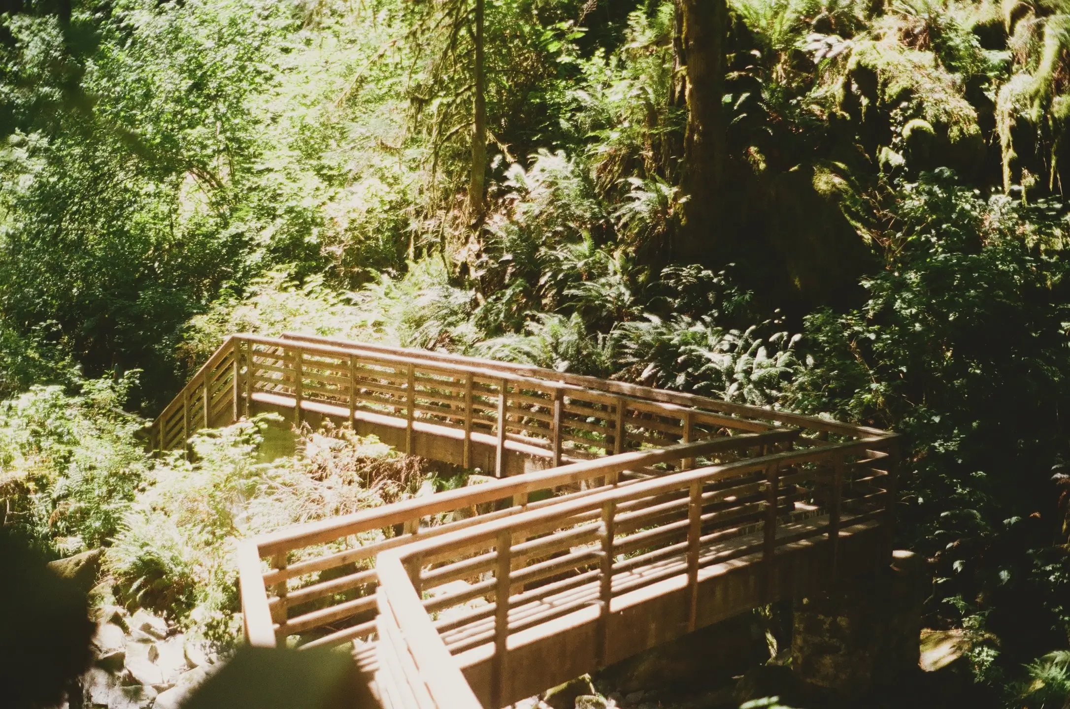 bridge to Majestic Falls