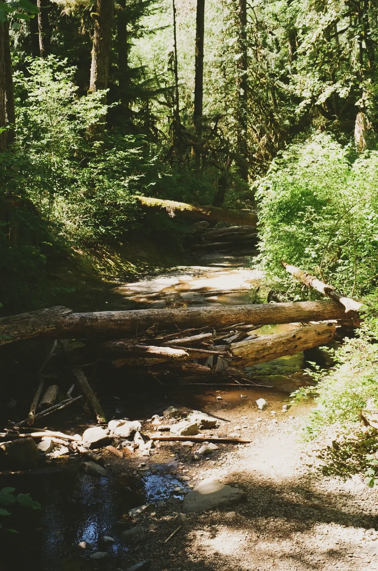 McDowell Creek in Lebanon, Oregon