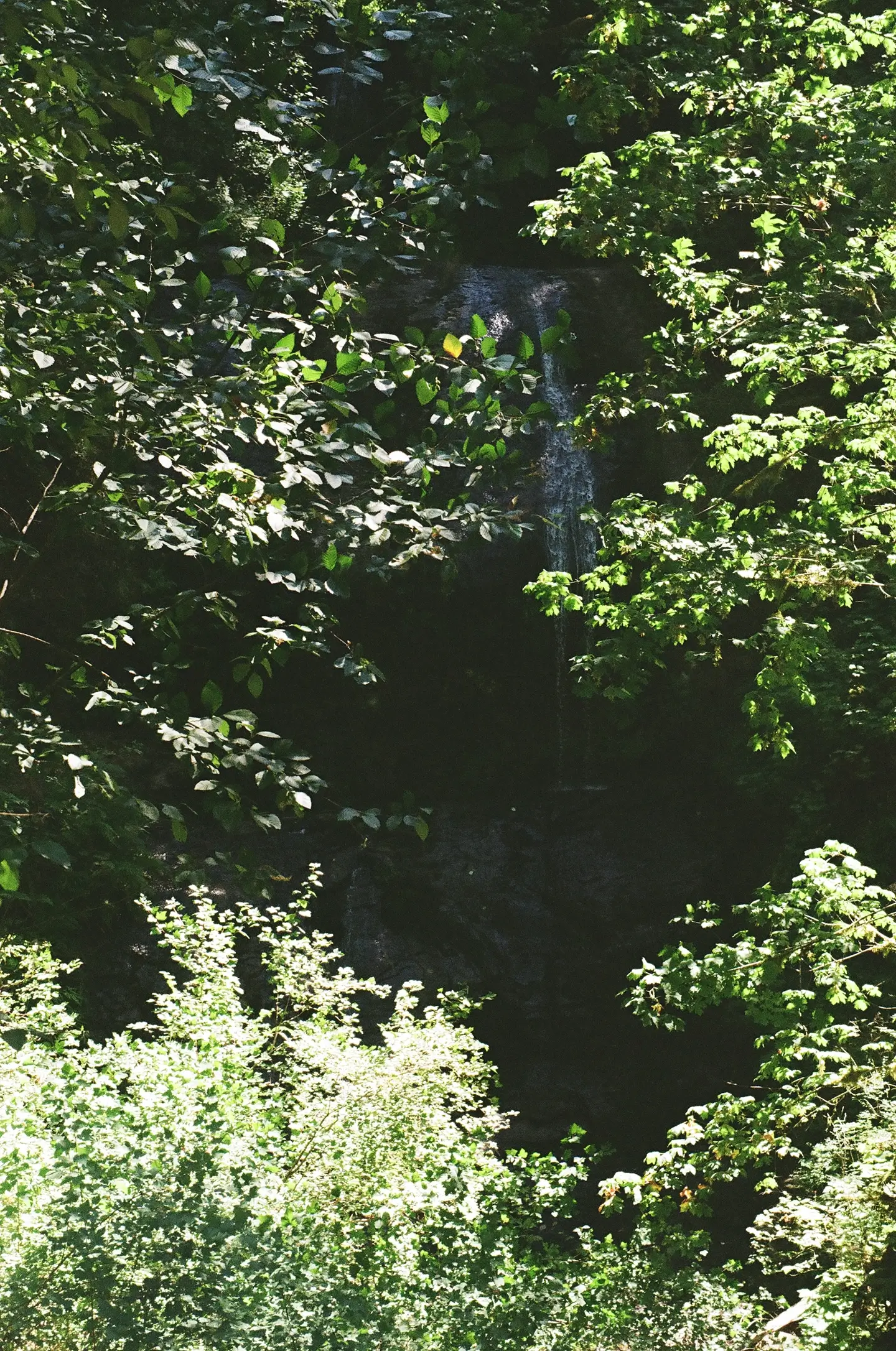 Royal Terrace Falls in Lebanon, Oregon