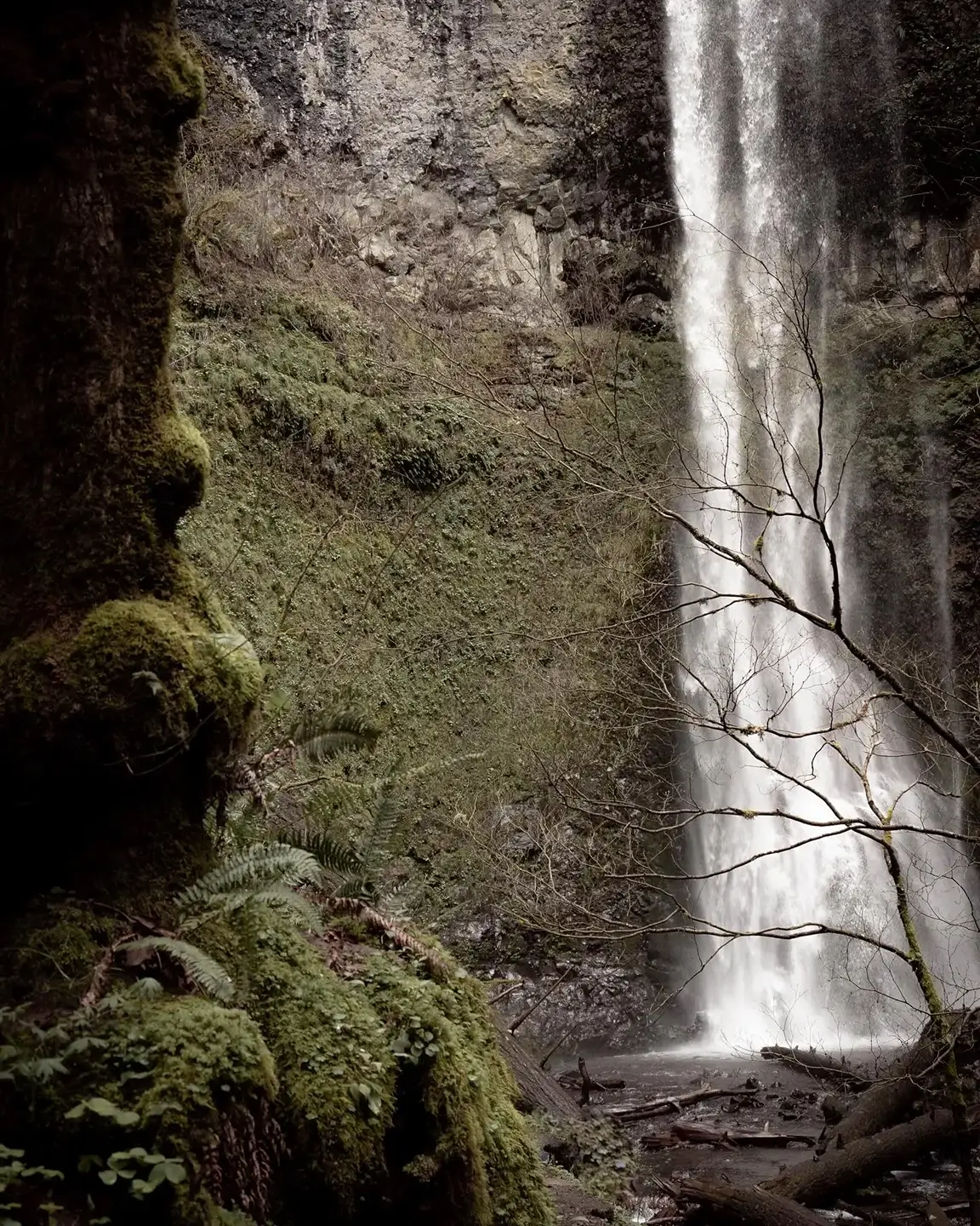 Double Falls artistic aesthetic
