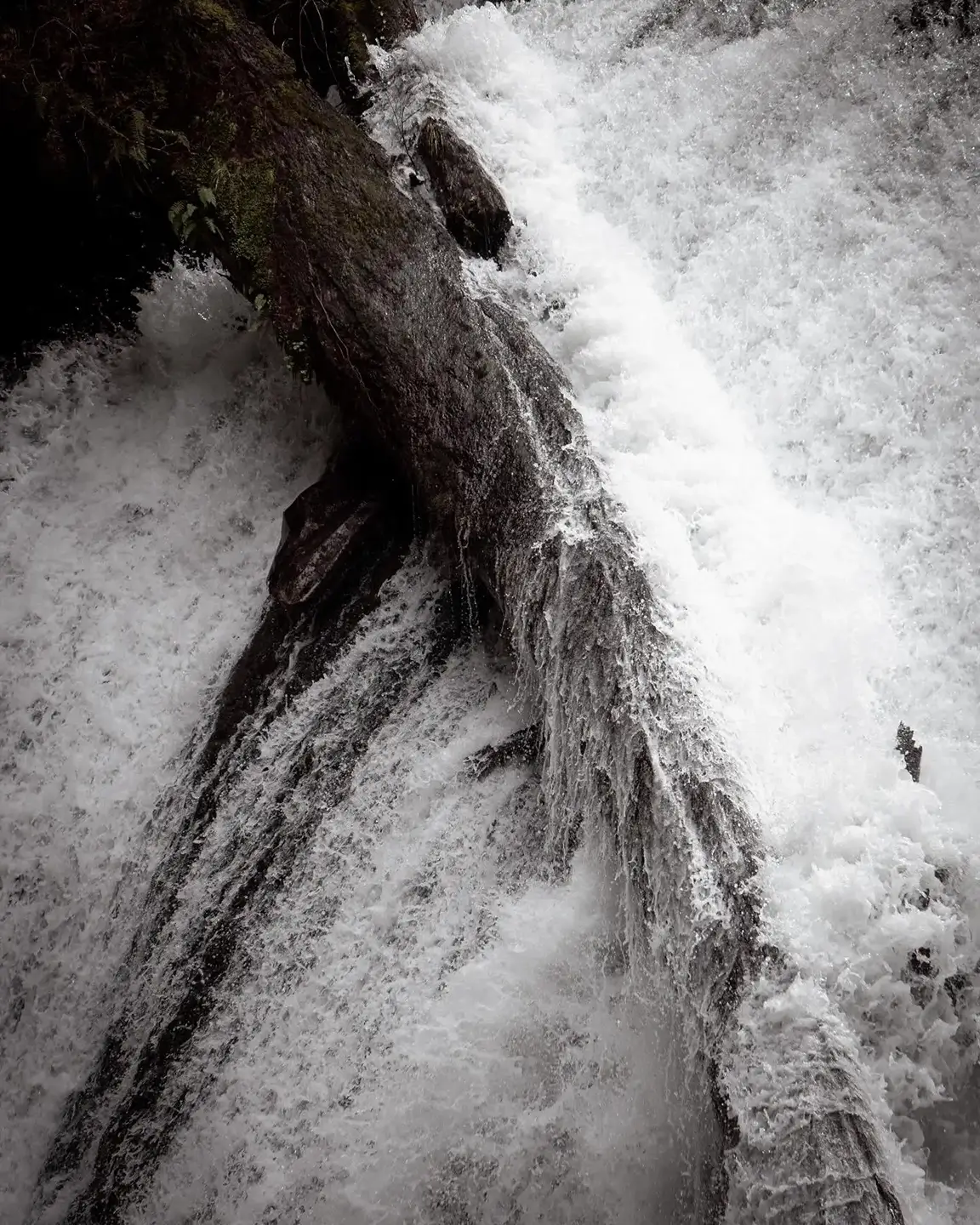 Lower North Falls with water rushing around a fallen tree