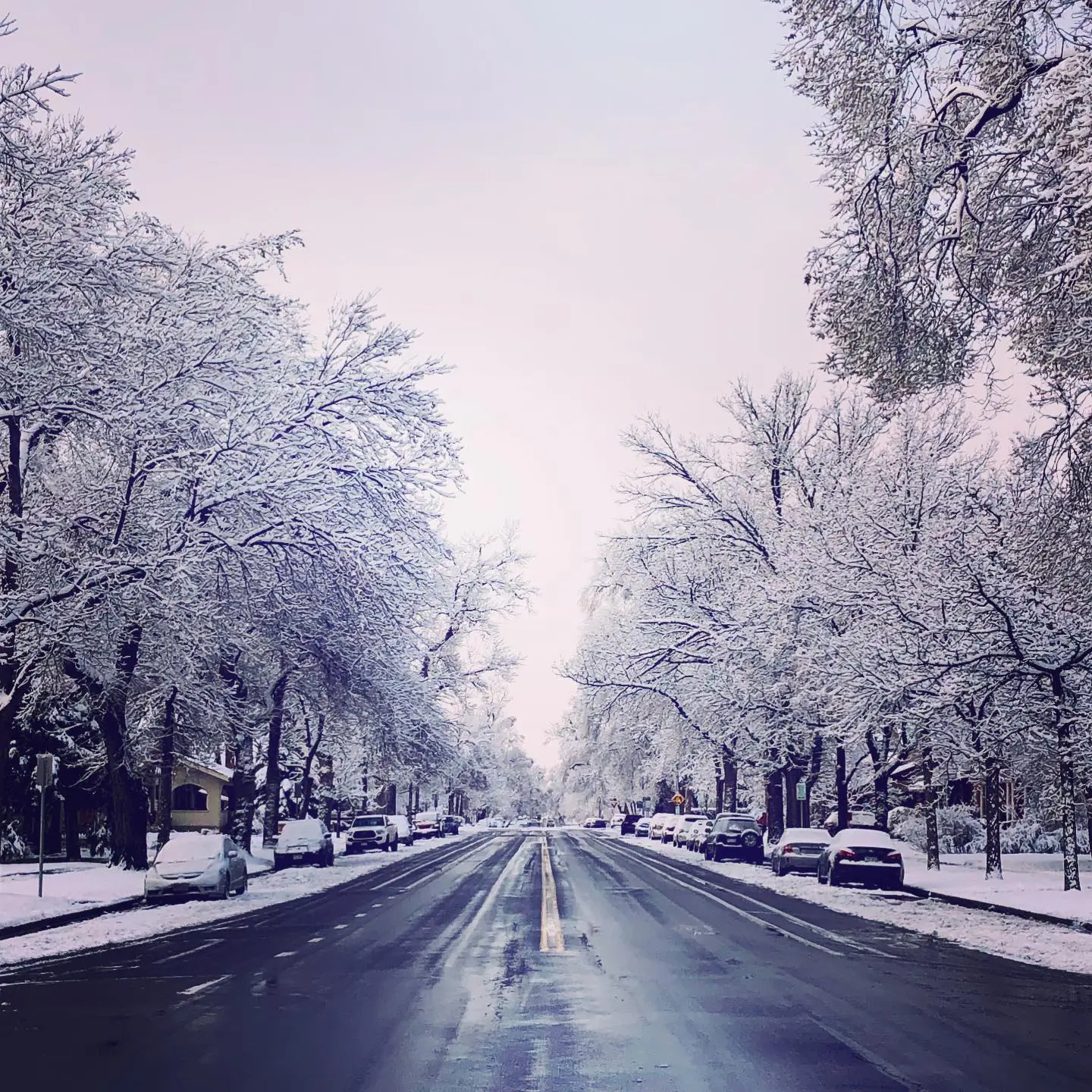 Fort Collins, CO winter