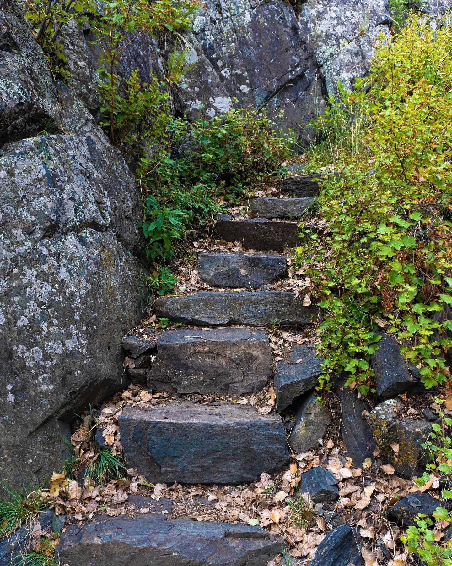Lory State Park in Fort Collins, CO