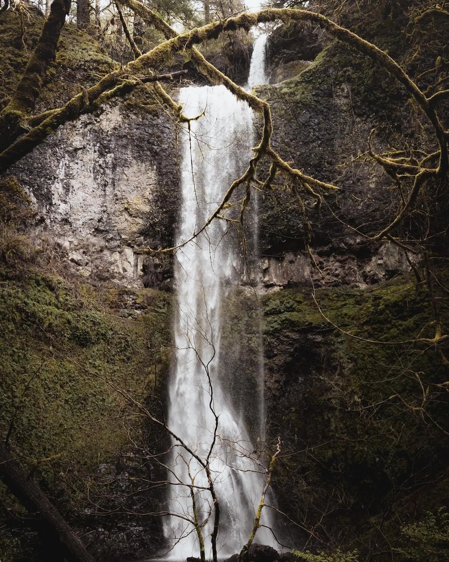Double Falls in Silver Falls State Park