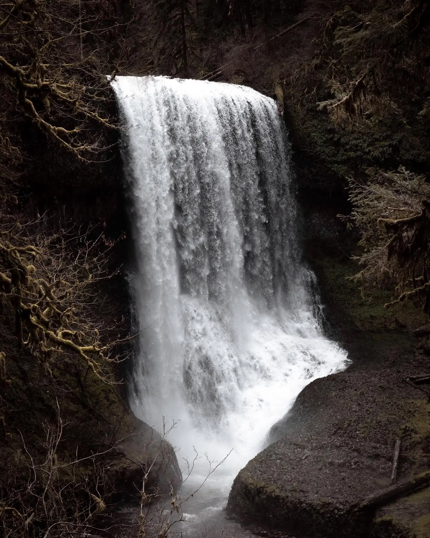 Middle North Falls in Silver Falls State Park, Oregon