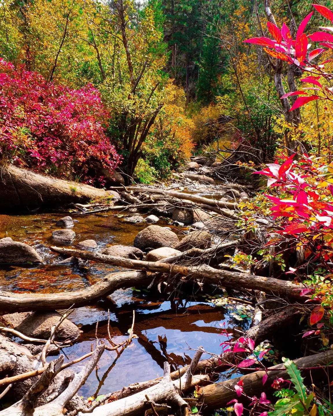 Curt Gowdy State Park, Wyoming