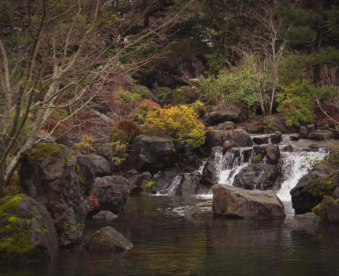 Japanese Flower Garden in Lebanon, Oregon