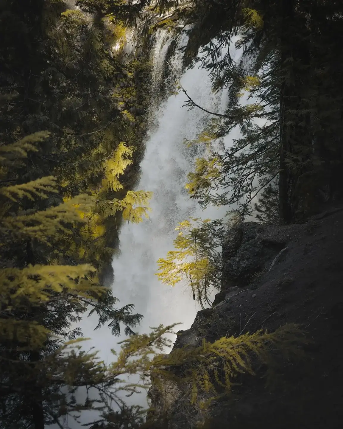 Koosah Falls, Oregon