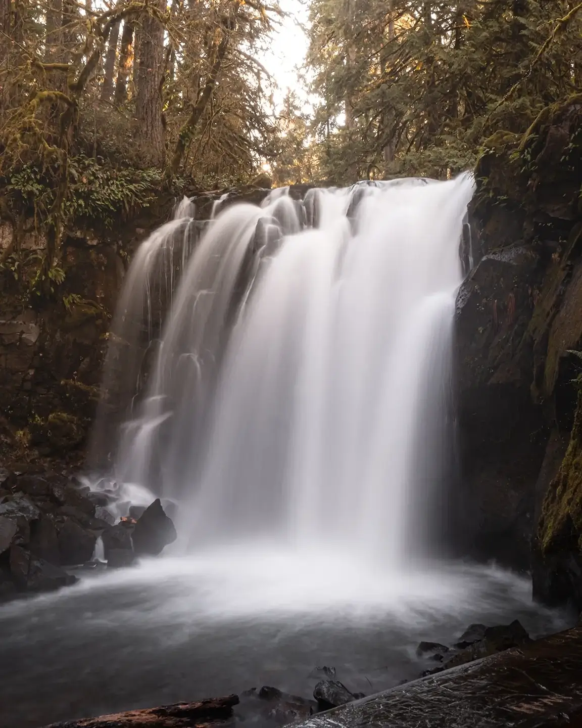 Majestic Falls in McDowell Creek Falls, Oregon