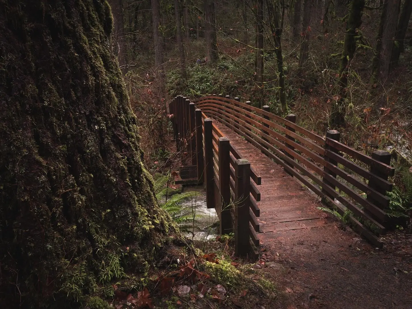 Bridge at McDowell Creek Falls, Oregon