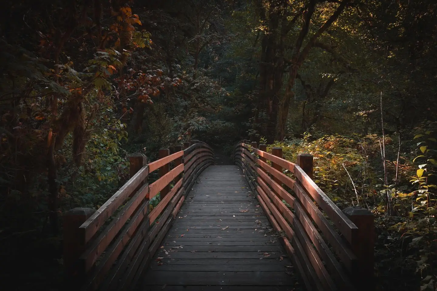 Bridge at McDowell Creek Falls, Oregon