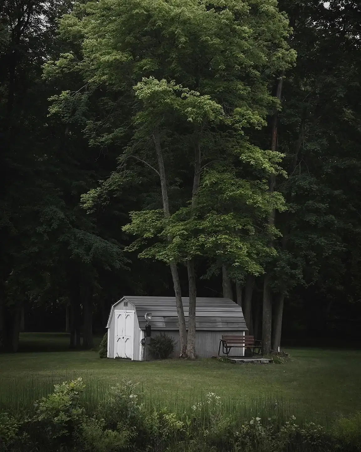 outdoor shed