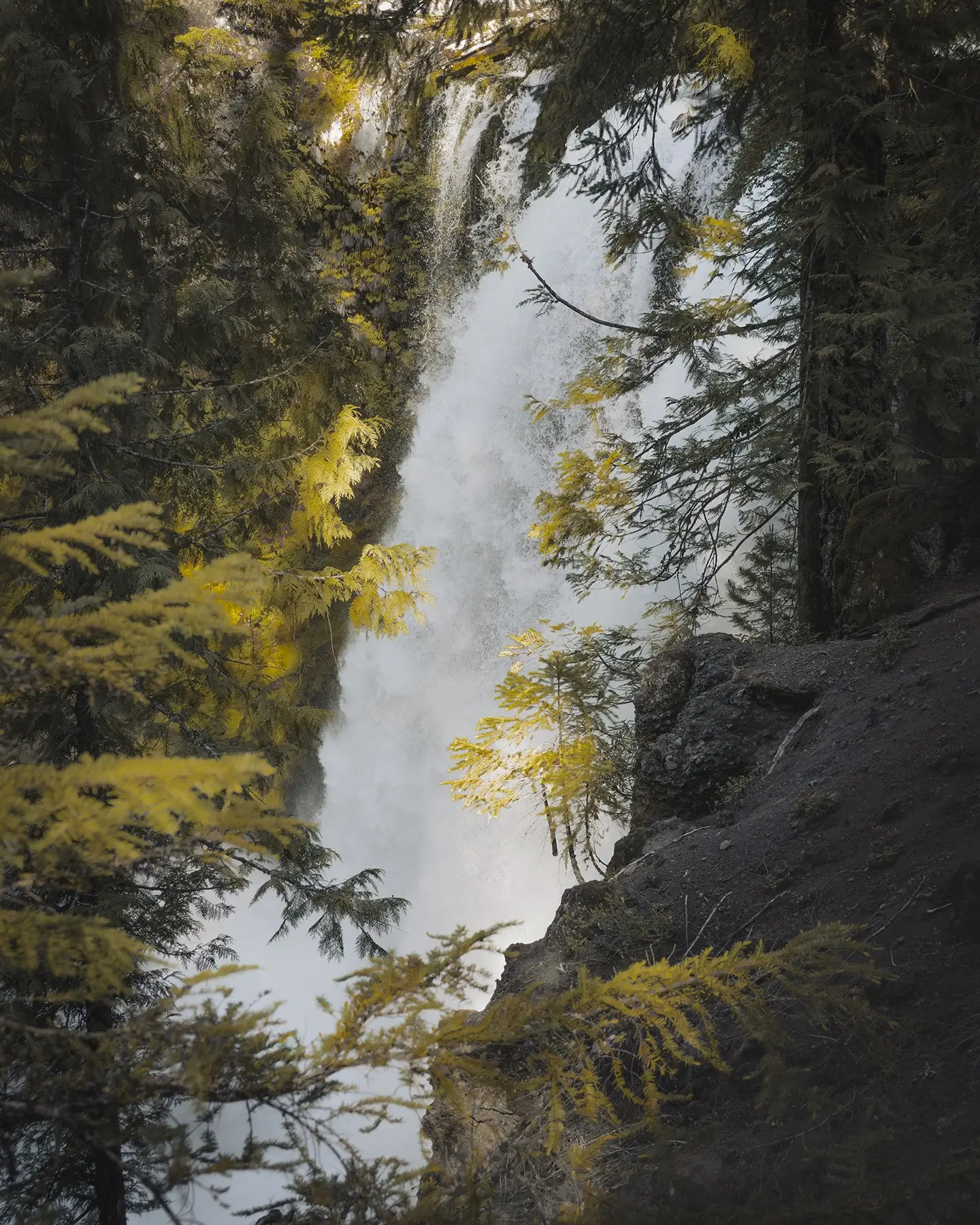 Koosah Falls