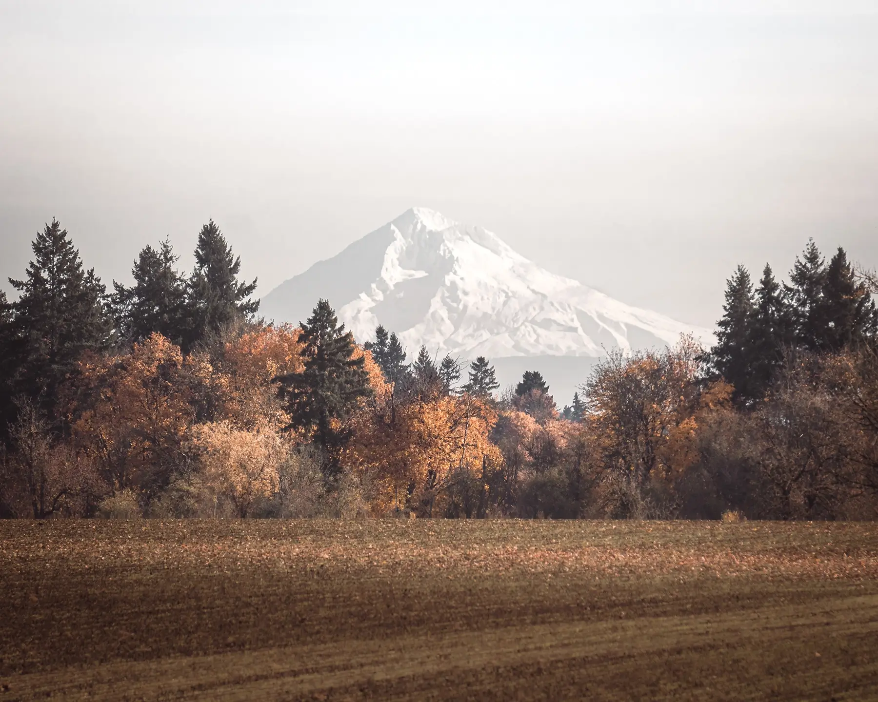 Mount Hood