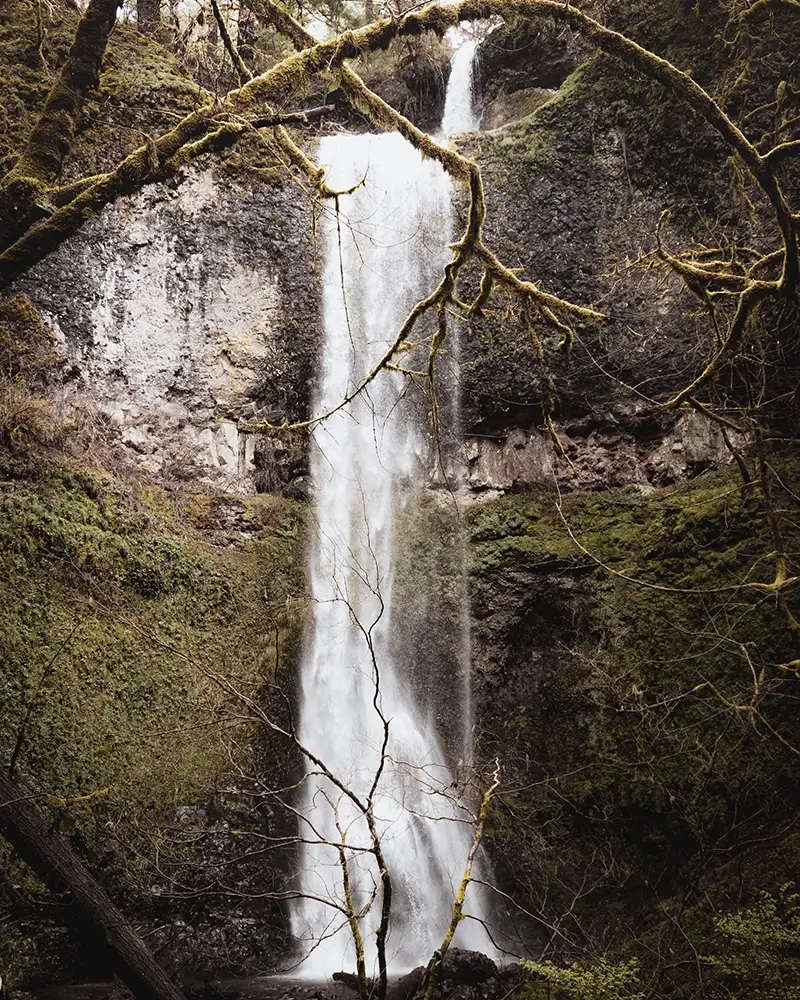 double falls, silver falls national park