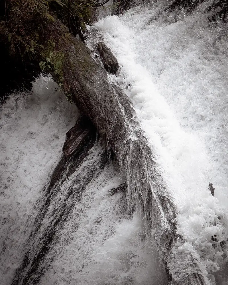 lower north falls, silver falls national park