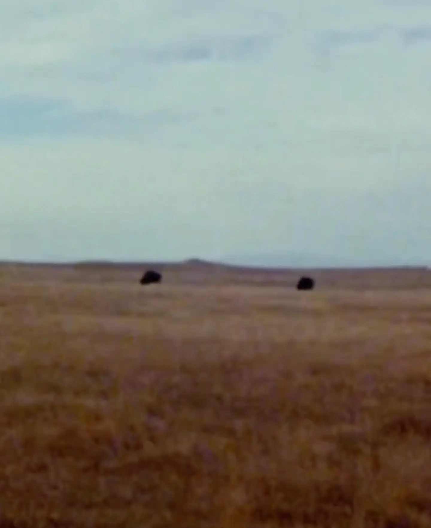 eastern Colorado landscape and animals, super 8 film